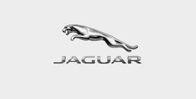 JAGUAR 3617519 - MANGUITO